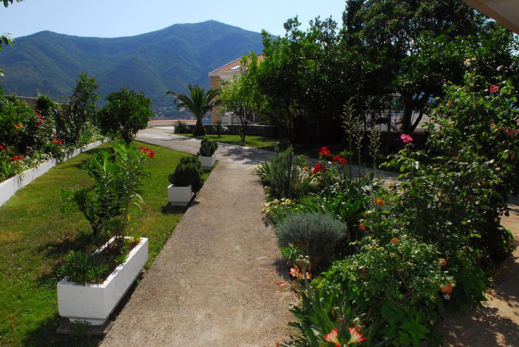 Apartments Blue Lagoon Kotor Luaran gambar
